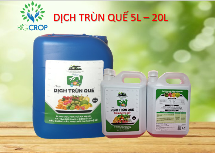 Big Crop - Thông báo thay đổi mẫu sản phẩm Dịch Trùn Quế 5L - 20L